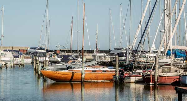 Lær baggrunden for navnet Habitus